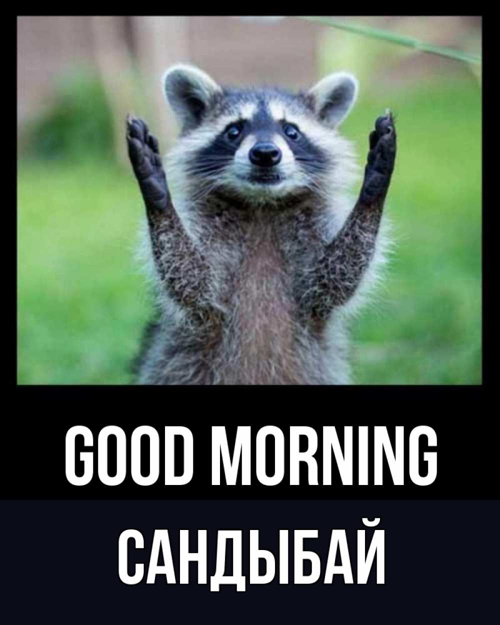 Greetings card с именем, САНДЫБАЙ Good morning хорошее настроение утречком Greetings with text for free download 
