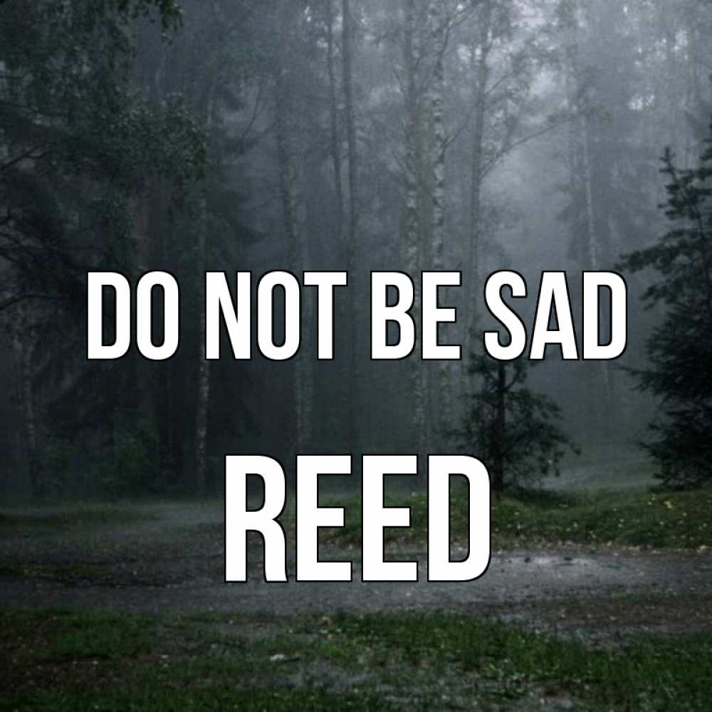 Greetings card с именем, Reed Do not be sad осень Greetings with text for free download 