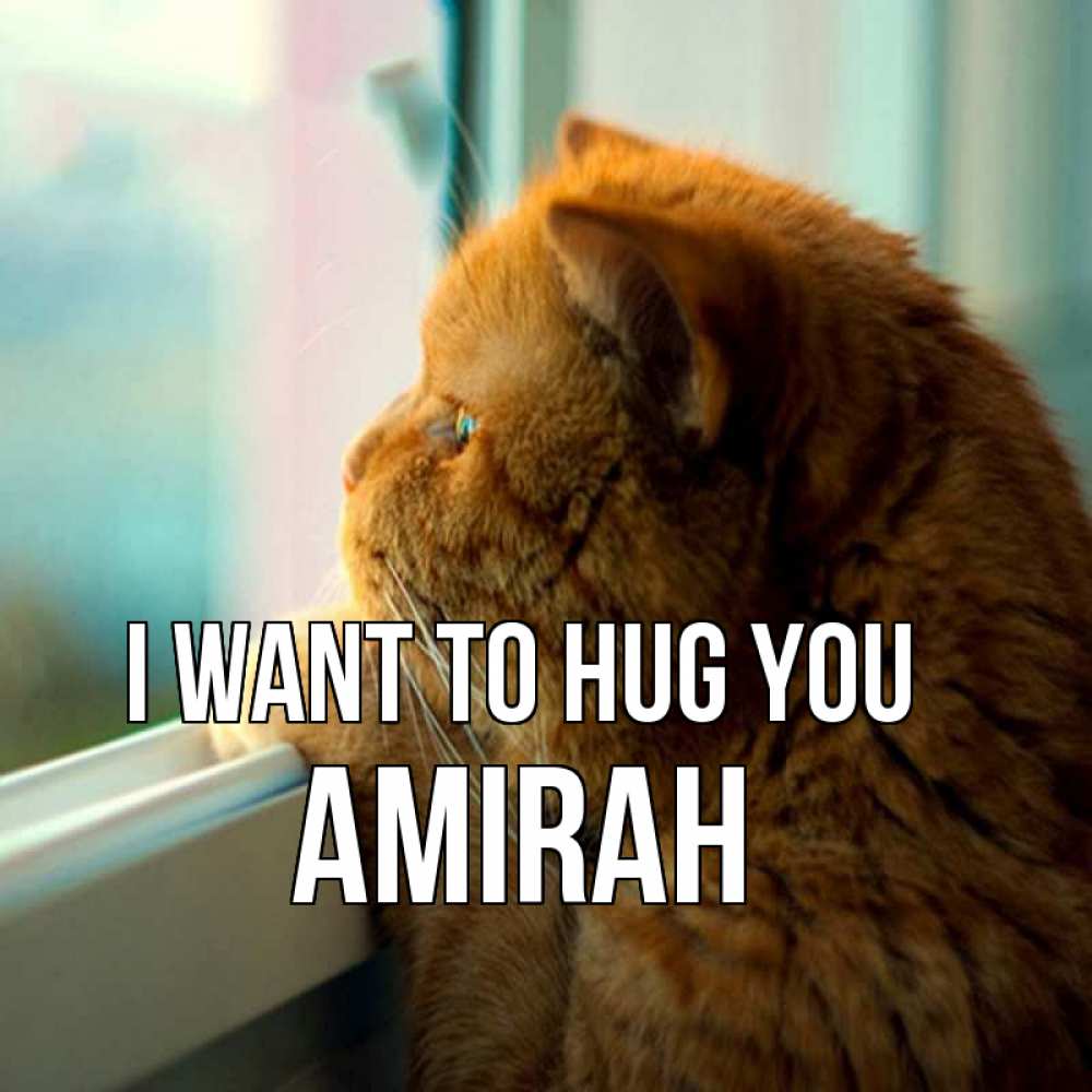 Greetings card с именем, Amirah I want to hug you большой огромный рыжий котяра Greetings with text for free download 