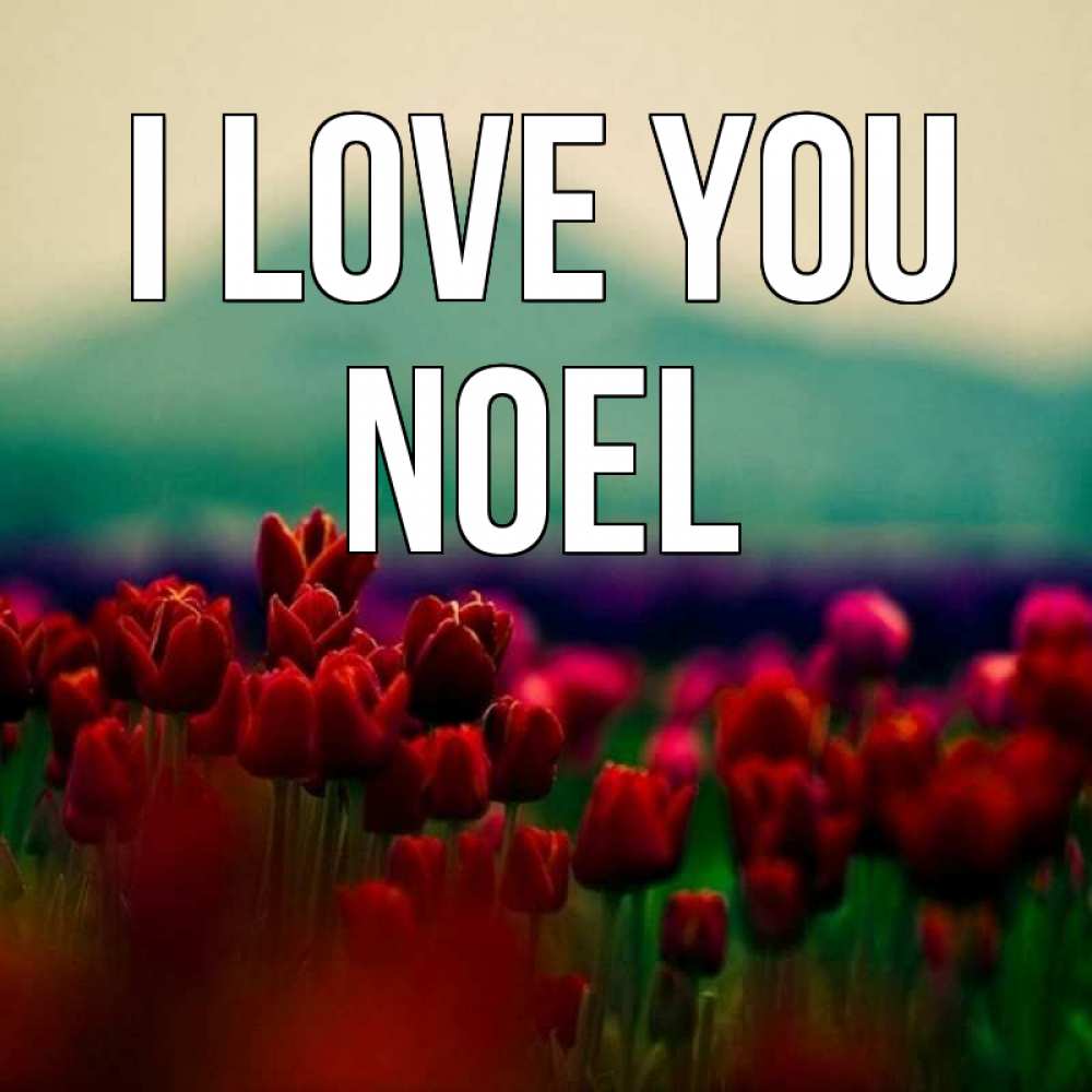 Greetings card с именем, Noel I love you тюльпаны 4 Greetings with text for free download 