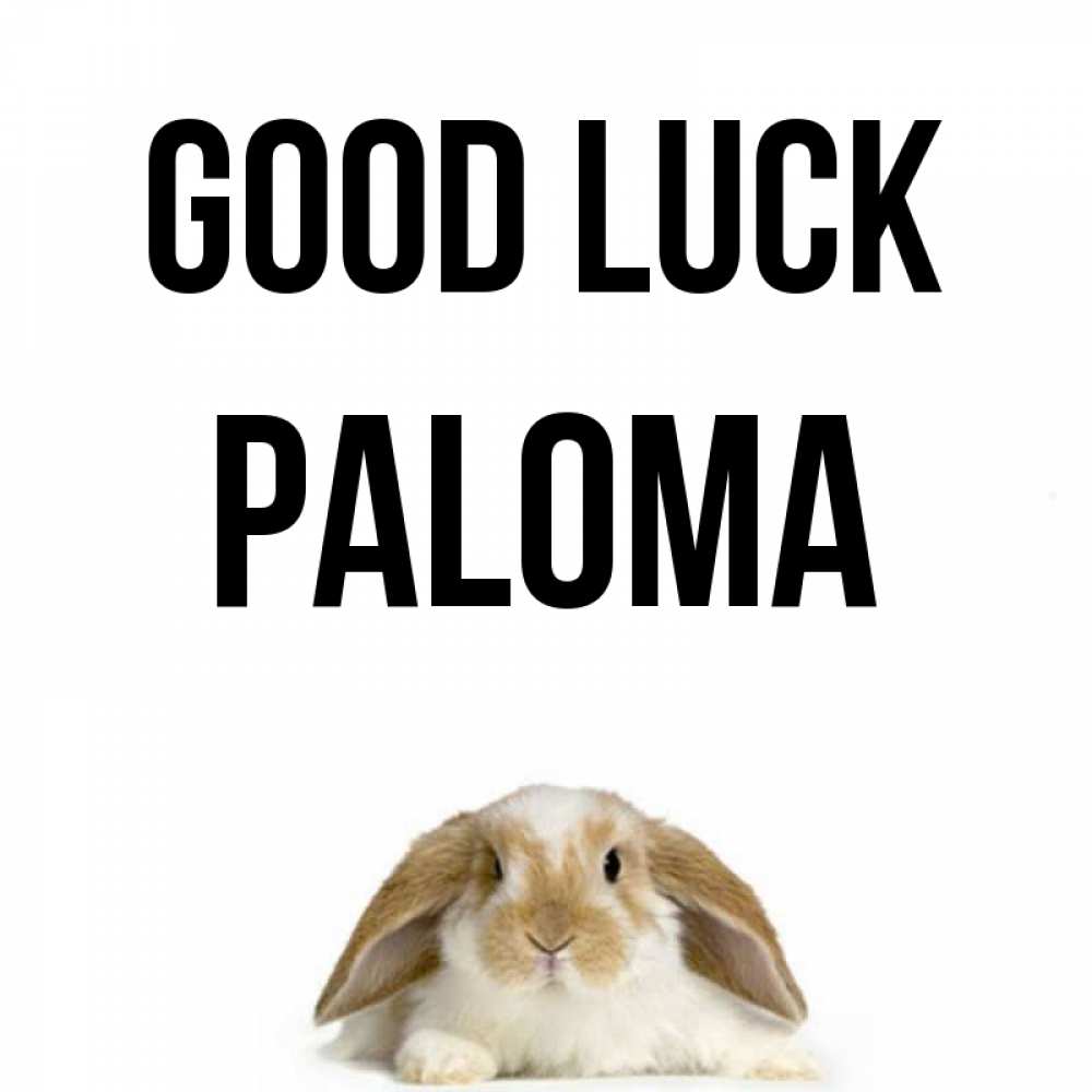 Greetings card с именем, Paloma Good luck открытки с произвольным текстом который можно вставить в открытку и создать ее самостоятельно бесплатно онлайн Greetings with text for free download 