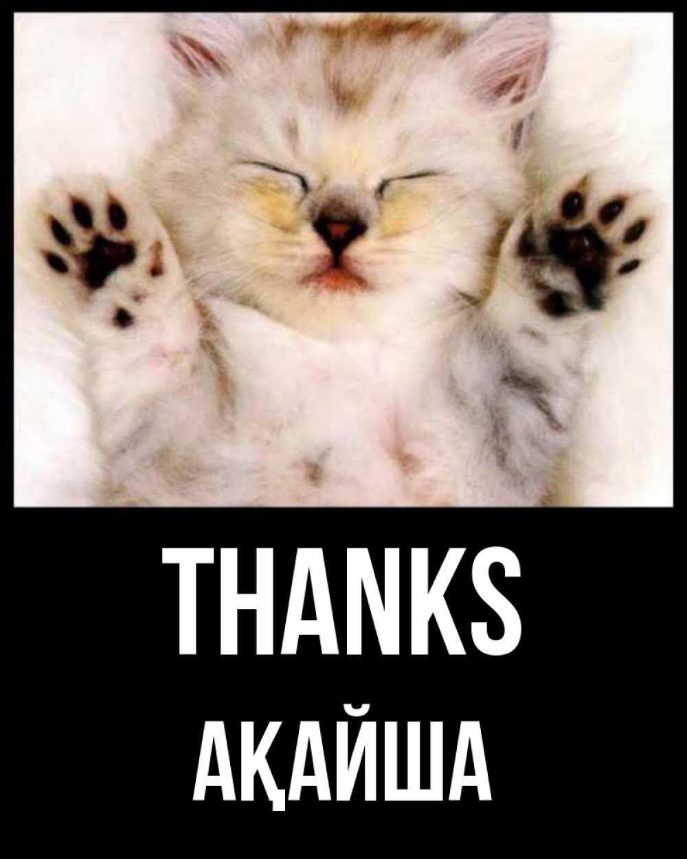 Greetings card с именем, АҚАЙША Thanks маленький котенок Greetings with text for free download 