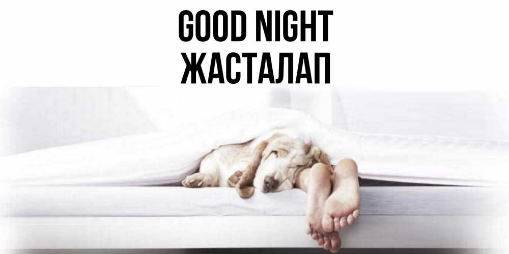 Greetings card с именем, Жасталап Good night кровать с собакой пожелание сладких снов и спокойной ночи Greetings with text for free download 