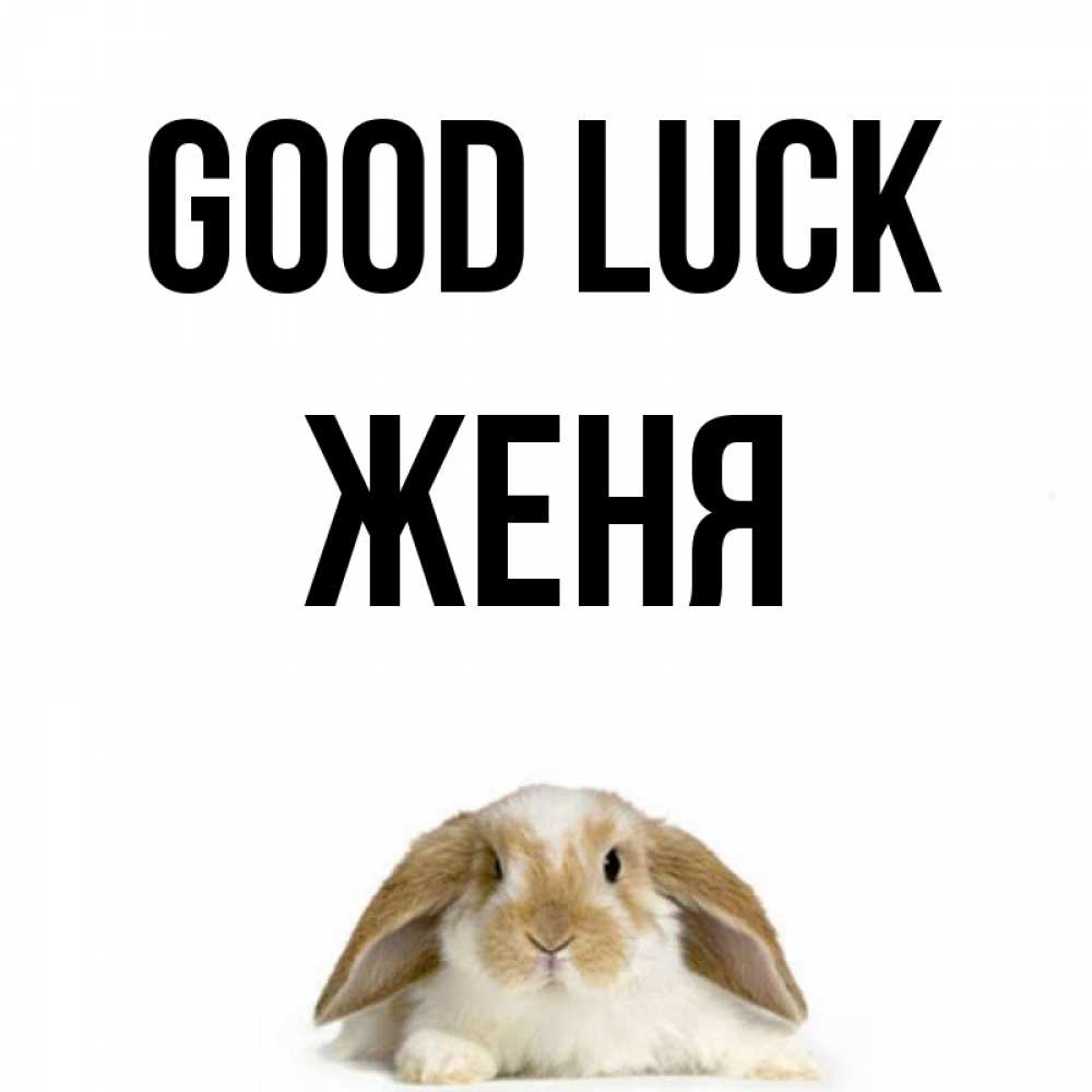 Greetings card с именем, Женя Good luck открытки с произвольным текстом который можно вставить в открытку и создать ее самостоятельно бесплатно онлайн Greetings with text for free download 