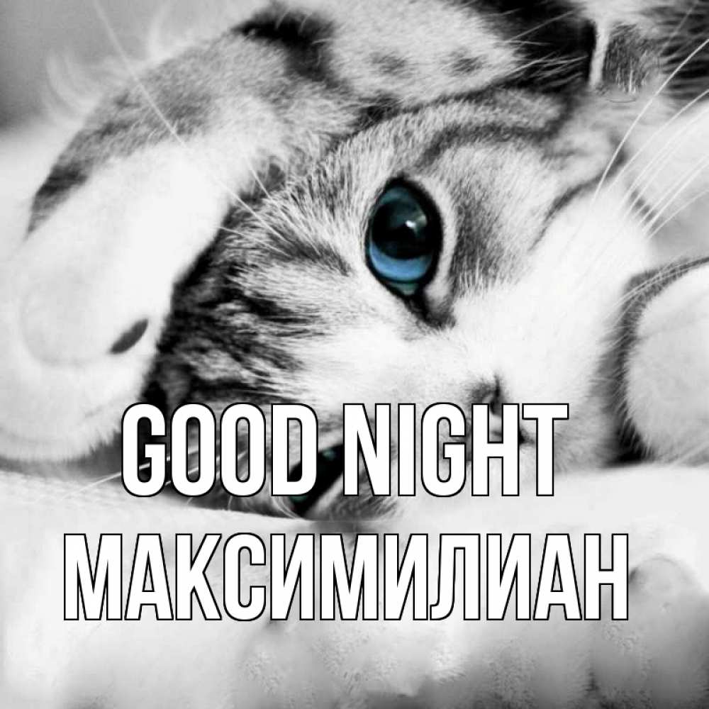 Greetings card с именем, Максимилиан Good night кот устал Greetings with text for free download 