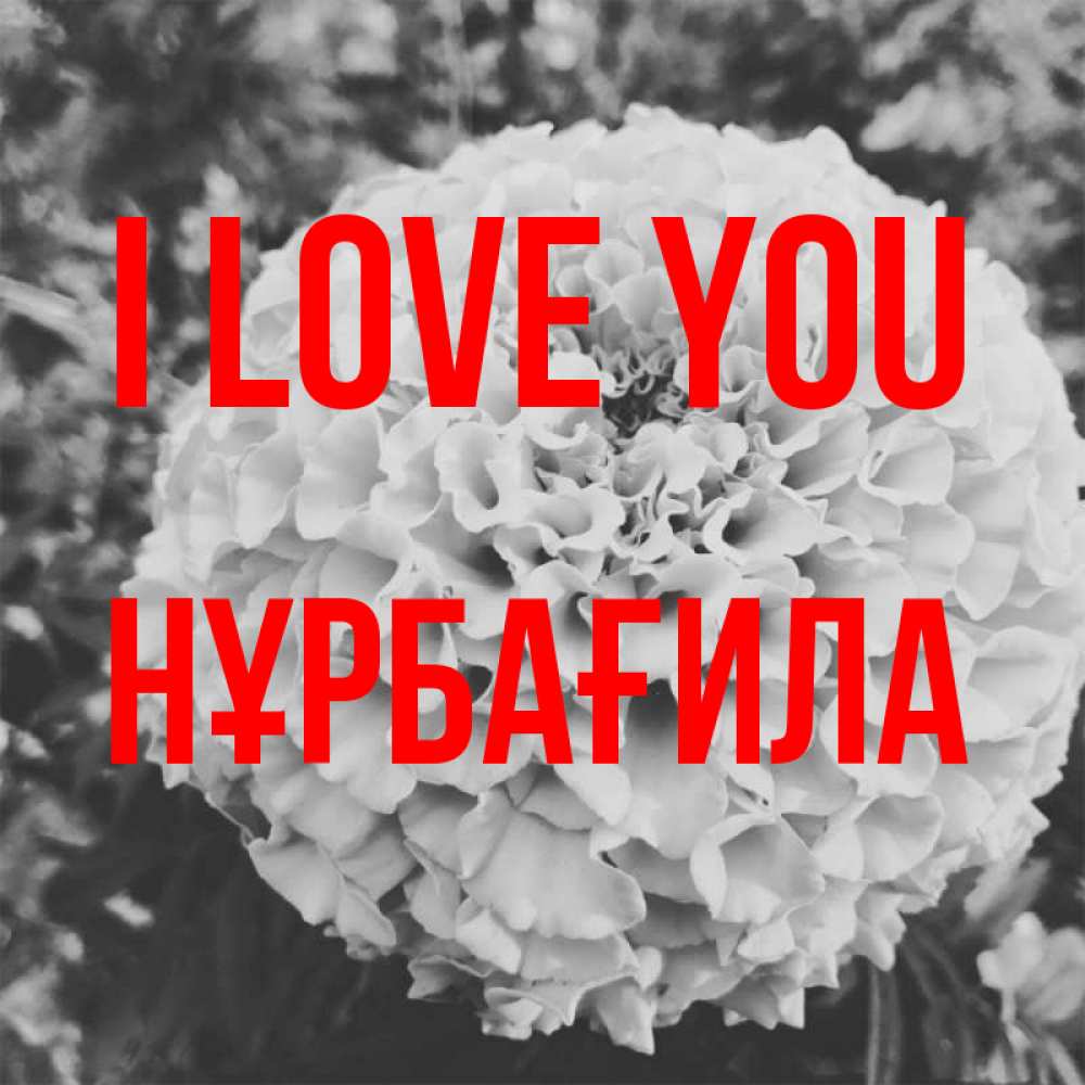 Greetings card с именем, НҰРБАҒИЛА I love you подпись Greetings with text for free download 