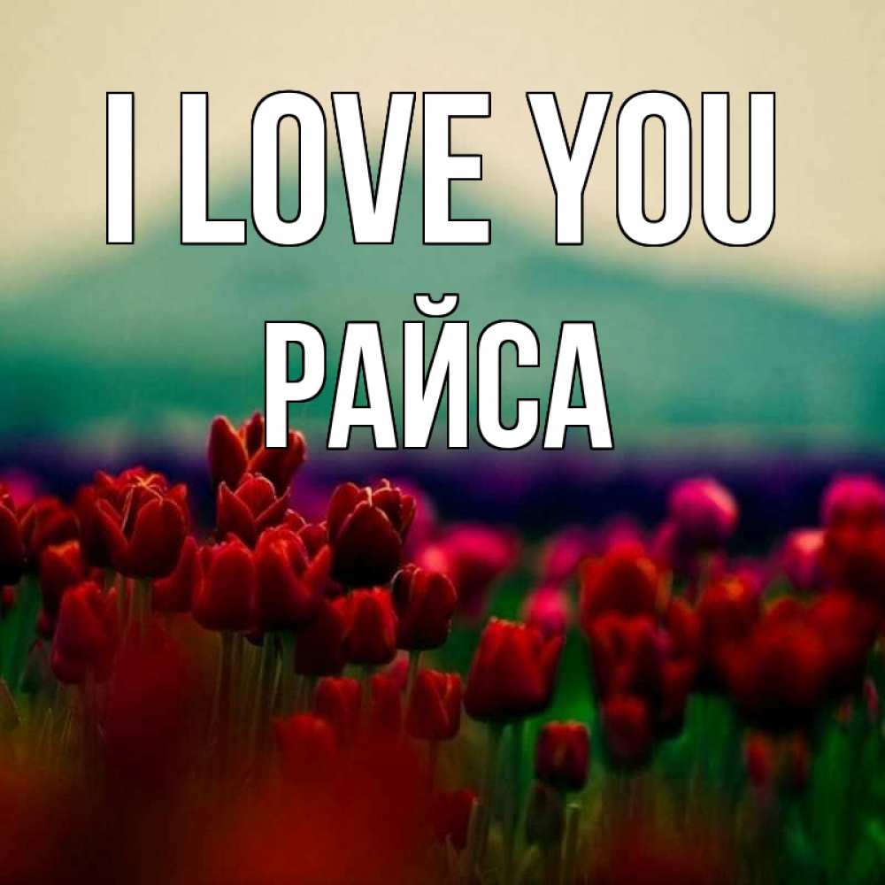 Greetings card с именем, РАЙСА I love you тюльпаны 4 Greetings with text for free download 