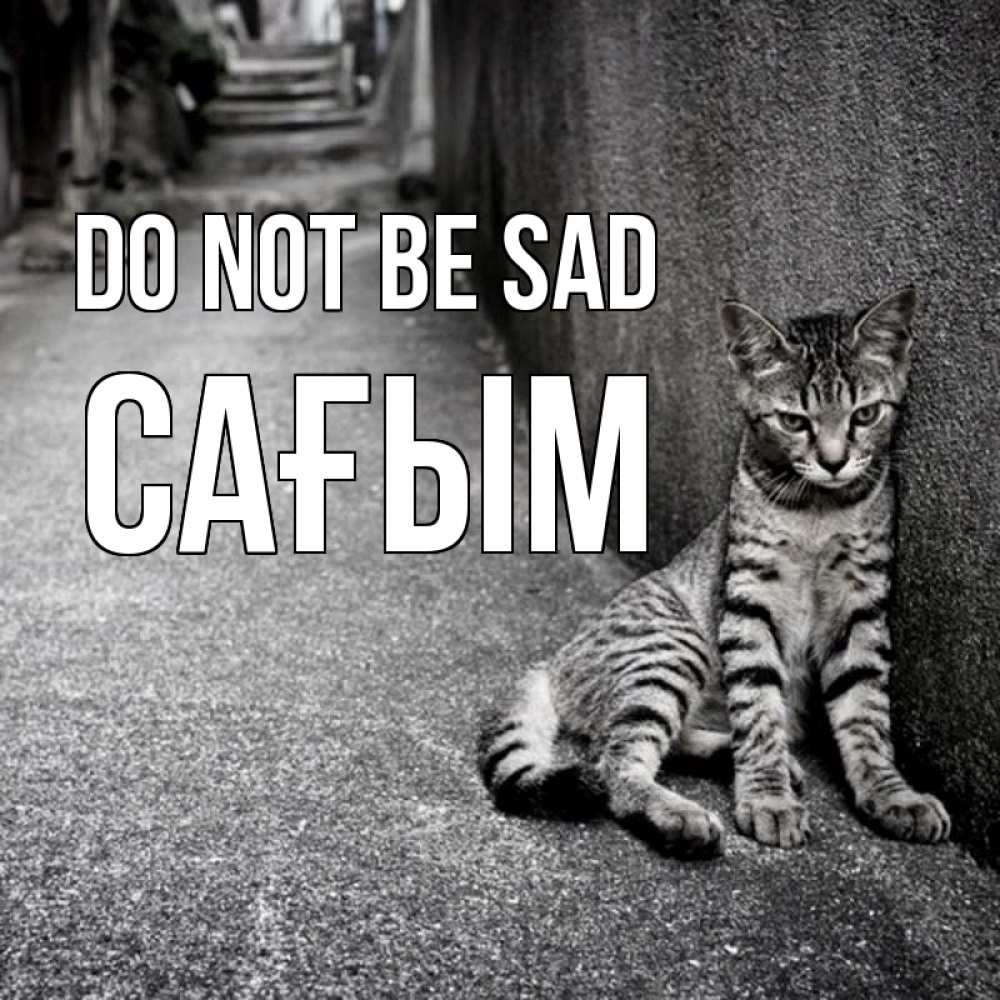Greetings card с именем, САҒЫМ Do not be sad скучающий котик Greetings with text for free download 