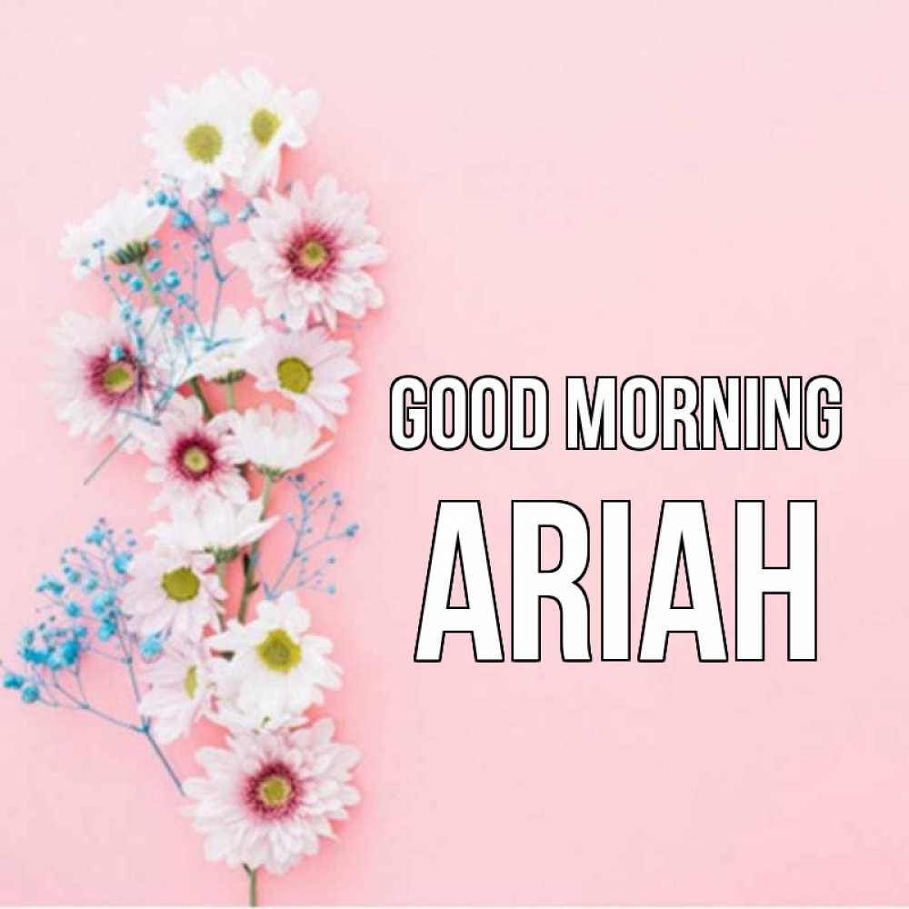 Greetings card с именем, Ariah Good morning цветы с подписью Greetings with text for free download 