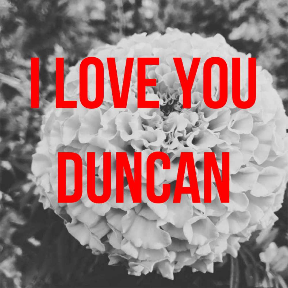Greetings card с именем, Duncan I love you подпись Greetings with text for free download 