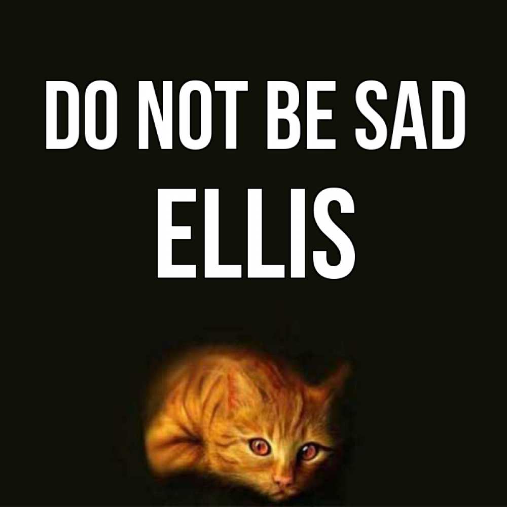 Greetings card с именем, Ellis Do not be sad лежащий кот в темноте Greetings with text for free download 