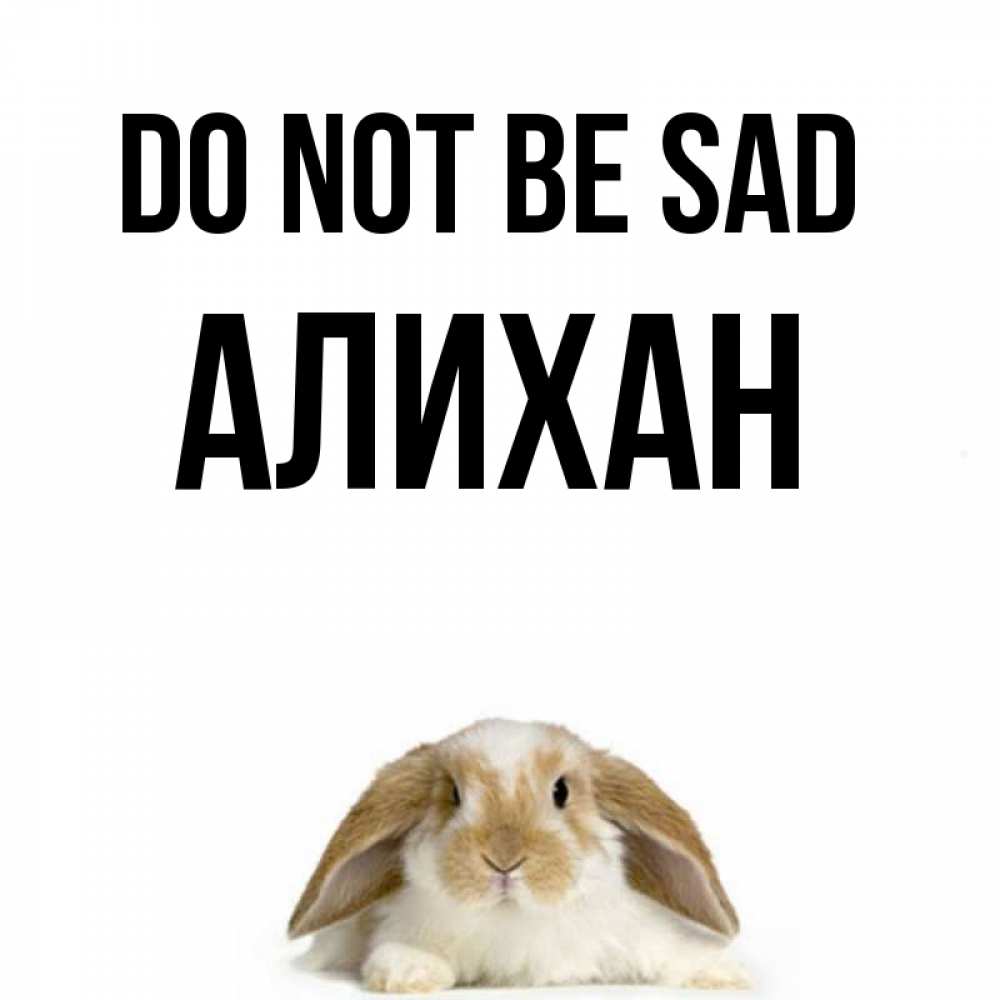 Greetings card с именем, Алихан Do not be sad коричнево белый заяц с большими ушками Greetings with text for free download 