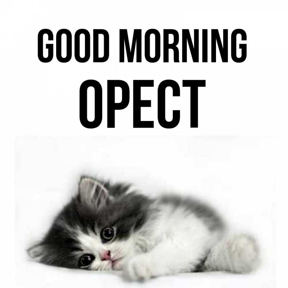 Greetings card с именем, Орест Good morning кот лапки Greetings with text for free download 