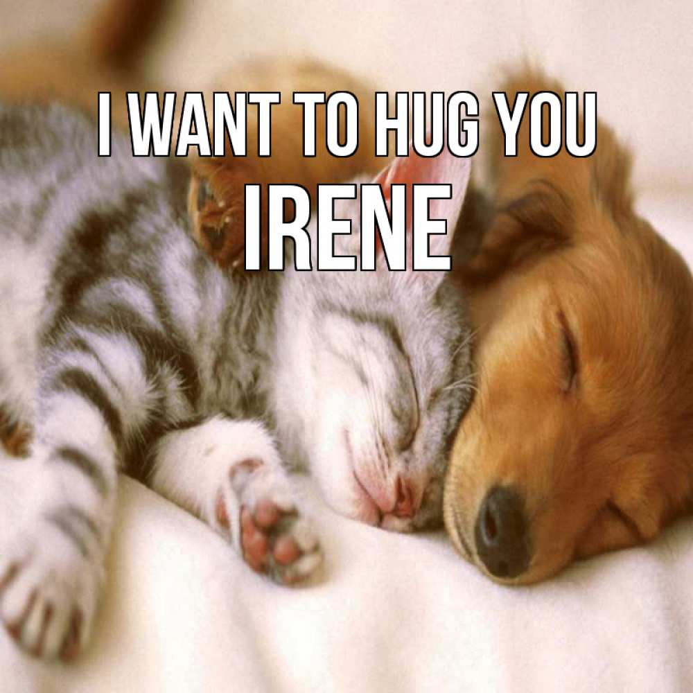 Greetings card с именем, Irene I want to hug you пес и котенок Greetings with text for free download 