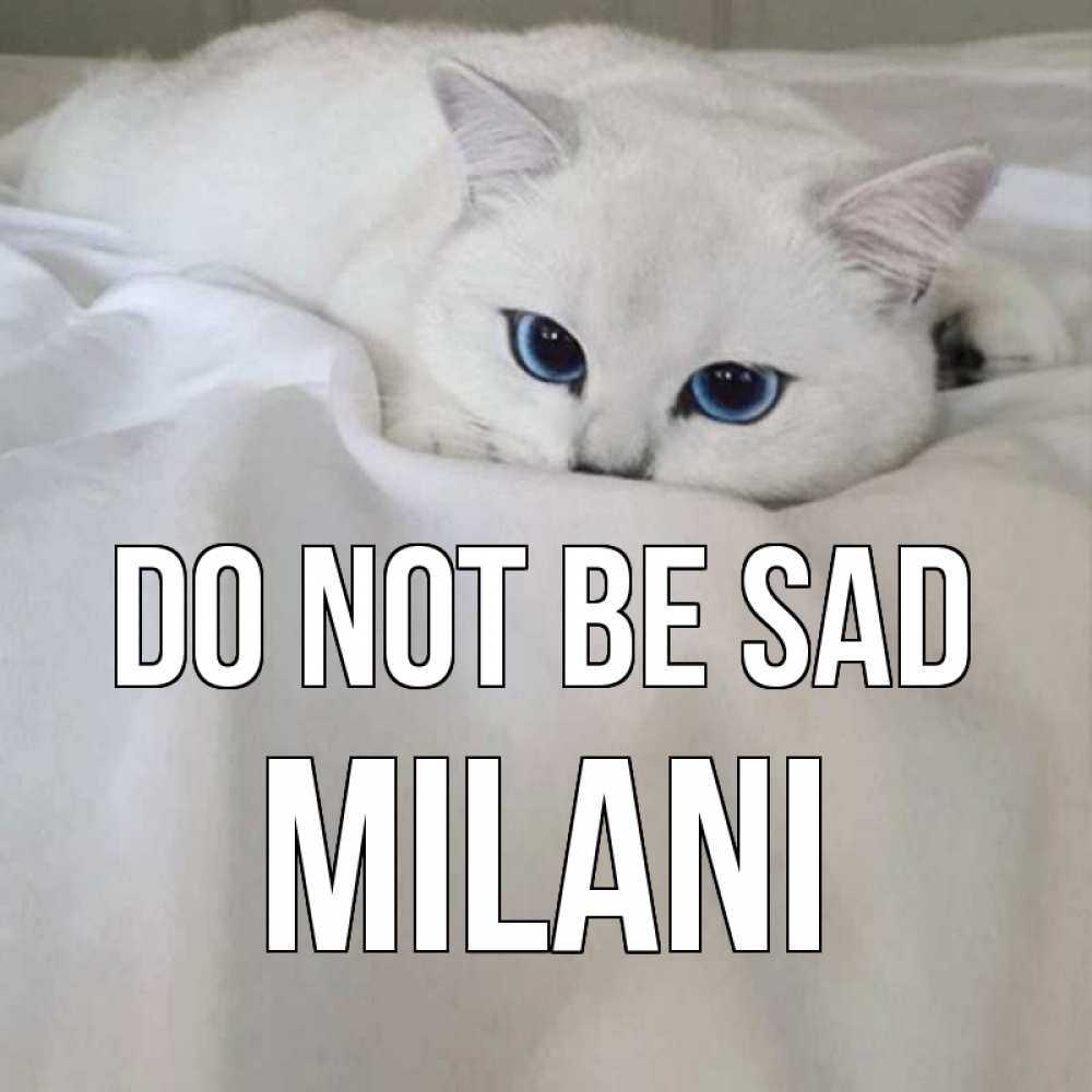 Greetings card с именем, Milani Do not be sad белый кот с голубыми глазами на белоснежной кровати Greetings with text for free download 