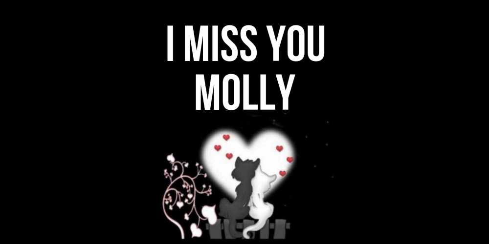 Greetings card с именем, Molly I miss you коты Greetings with text for free download 