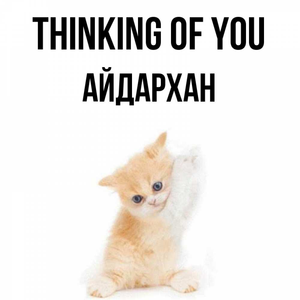 Greetings card с именем, Айдархан Thinking of you зверушки и милота Greetings with text for free download 
