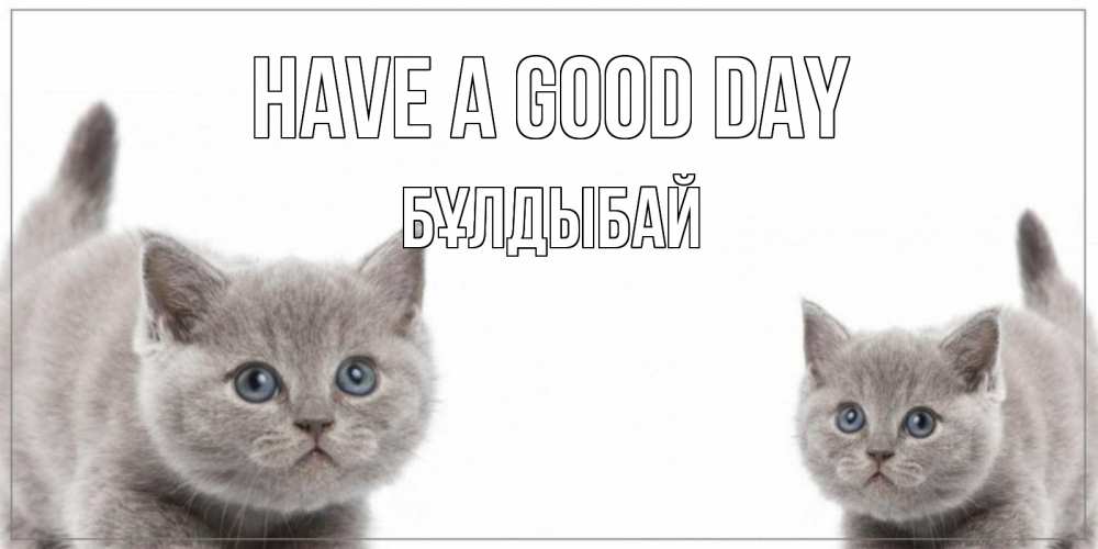 Greetings card с именем, Бұлдыбай Have a good day открытка с котами Greetings with text for free download 