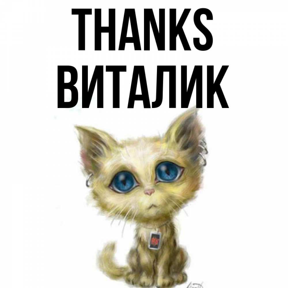 Greetings card с именем, Виталик Thanks рисованный кот благодарит вас Greetings with text for free download 