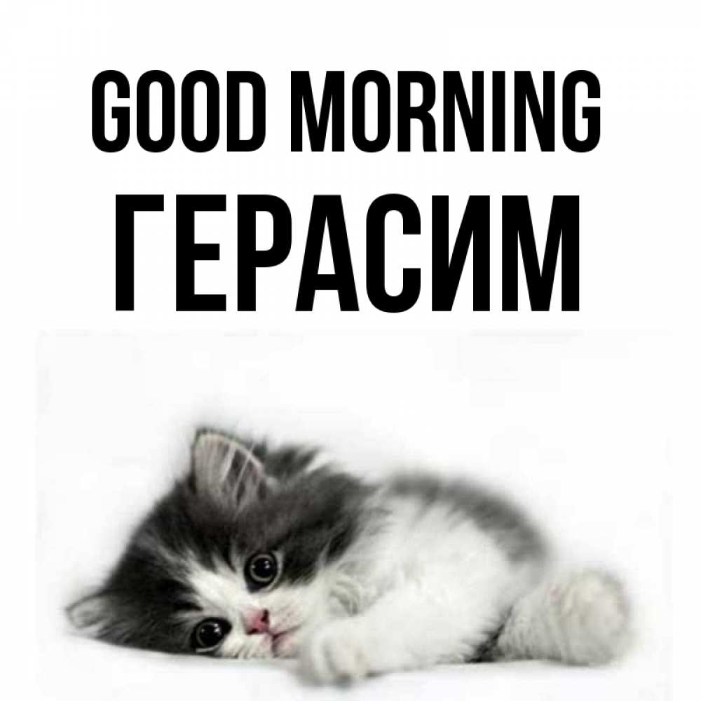 Greetings card с именем, Герасим Good morning кот лапки Greetings with text for free download 