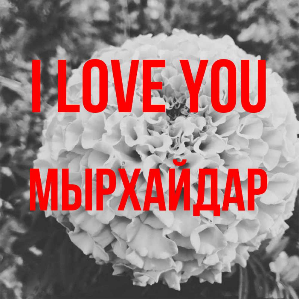 Greetings card с именем, МЫРХАЙДАР I love you подпись Greetings with text for free download 