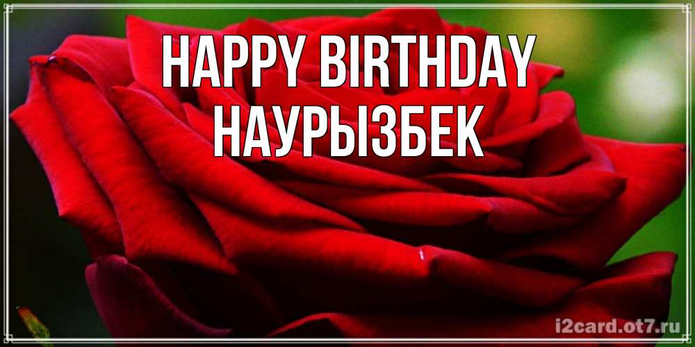 Greetings card с именем, Наурызбек Happy Birthday розочка очень красивая Greetings with text for free download 