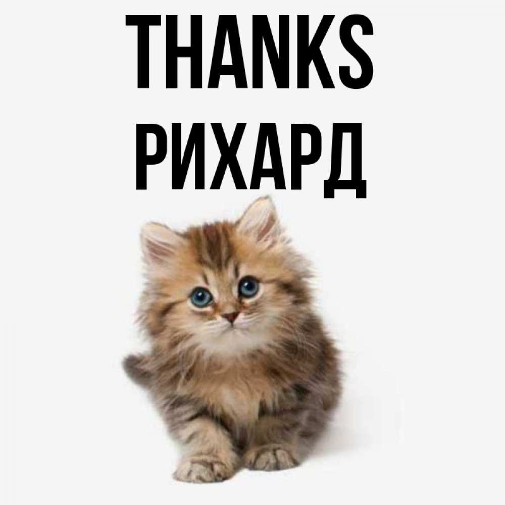 Greetings card с именем, Рихард Thanks пушистый котик Greetings with text for free download 