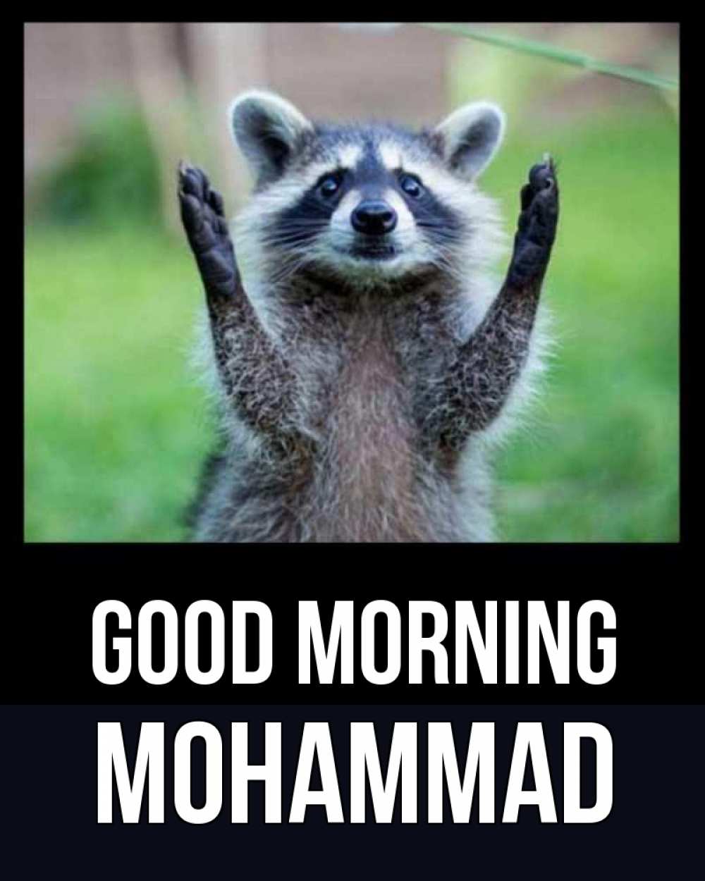 Greetings card с именем, Mohammad Good morning хорошее настроение утречком Greetings with text for free download 