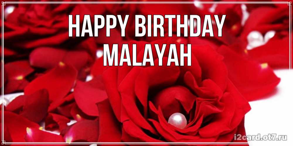 Greetings card с именем, Malayah Happy Birthday роза с жемчужиной на открытке для любимых Greetings with text for free download 