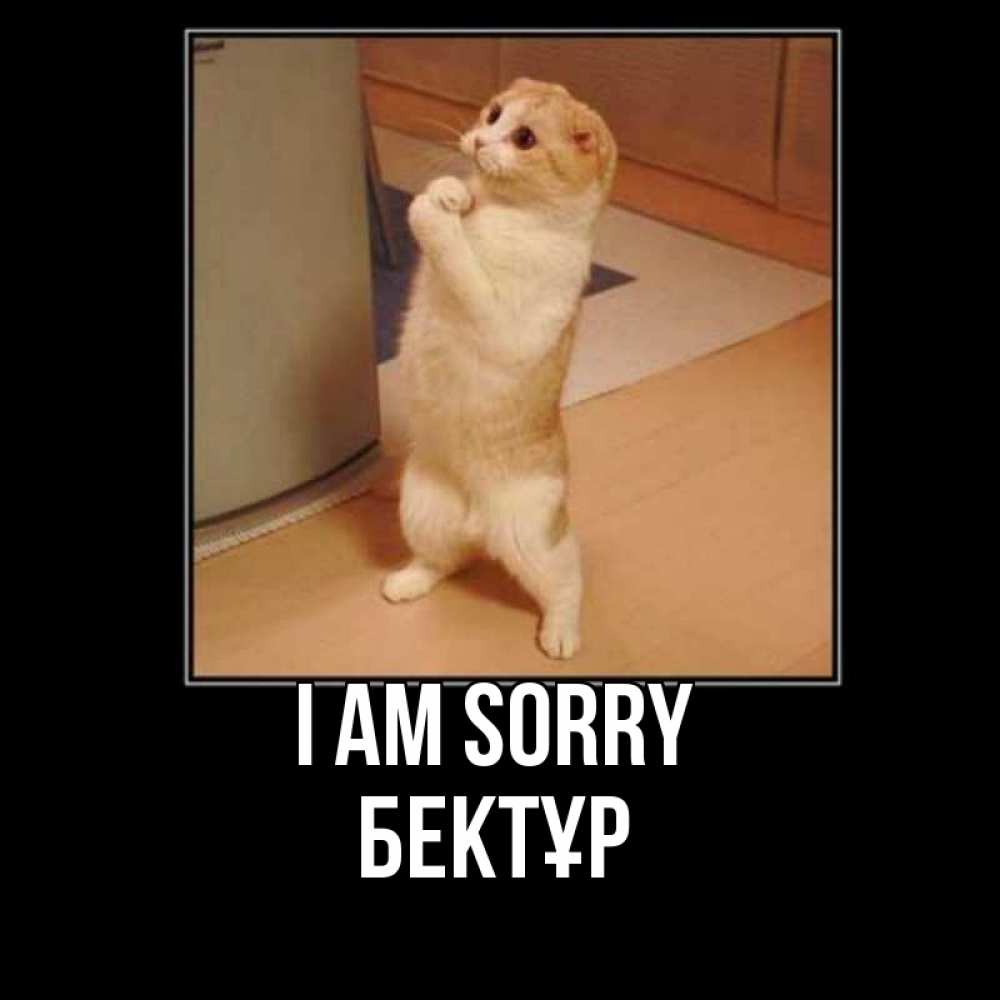 Greetings card с именем, Бектұр I am sorry открытка с милым несчастным котиком просящим прощения Greetings with text for free download 