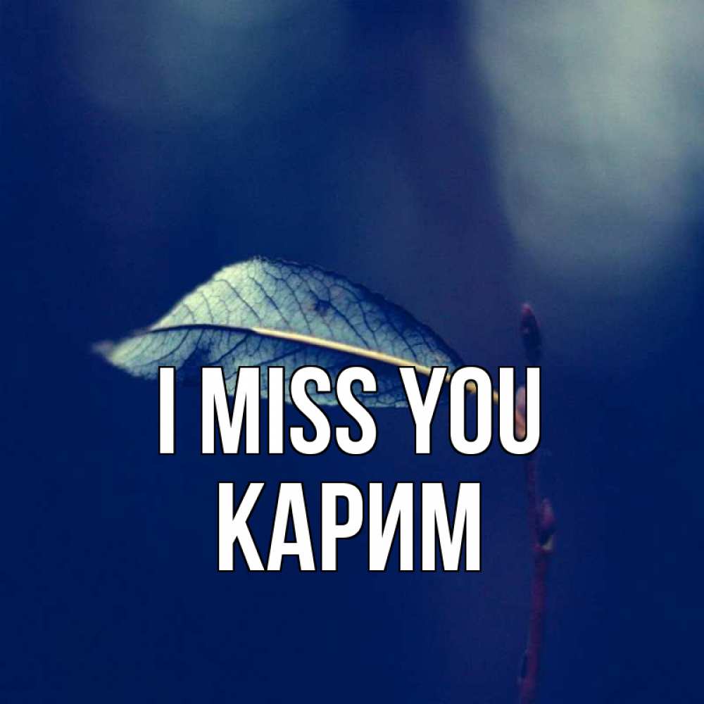 Greetings card с именем, Карим I miss you одна ветка 1 Greetings with text for free download 
