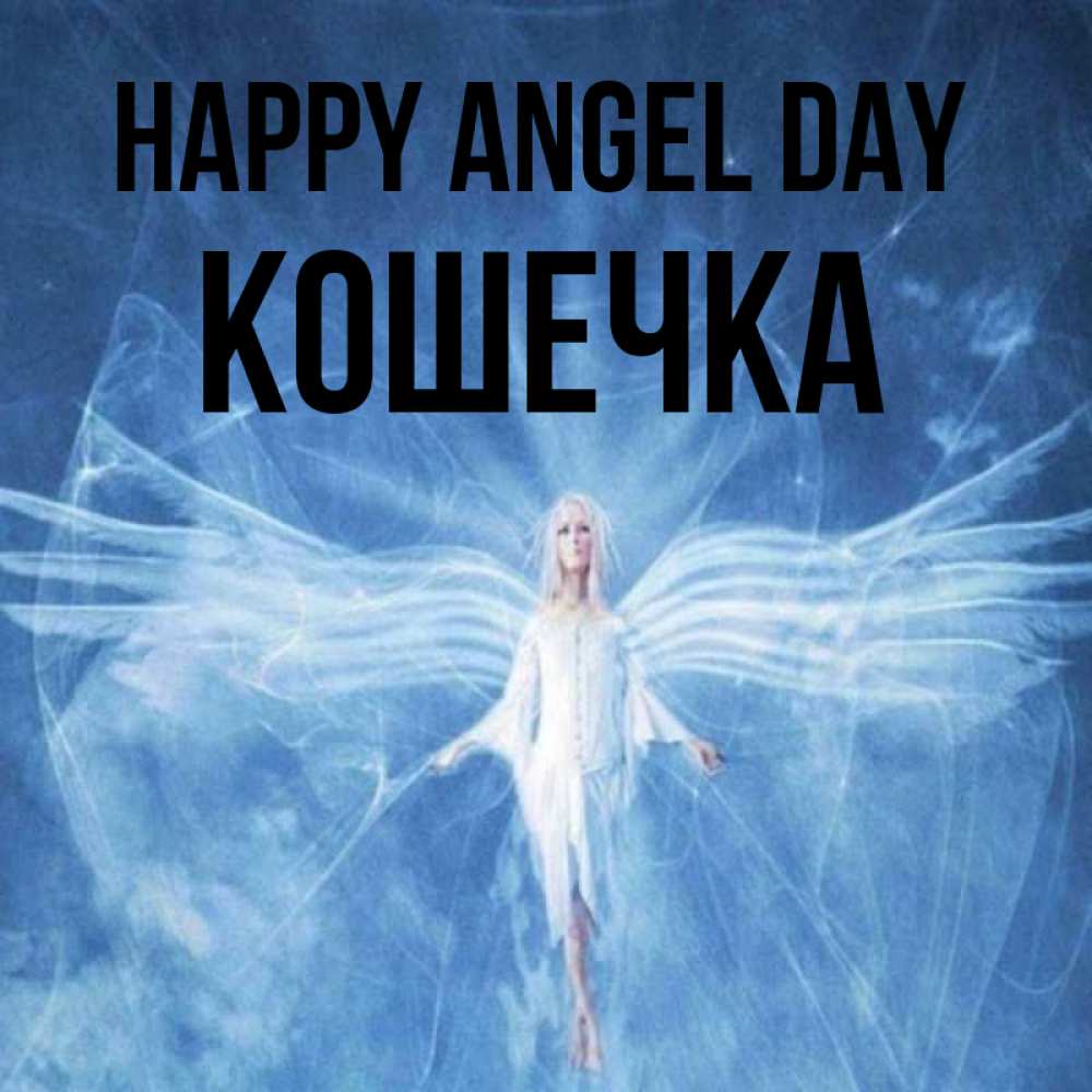 Greetings card с именем, Кошечка happy angel day голубой фон и крылья как у стрекозы Greetings with text for free download 