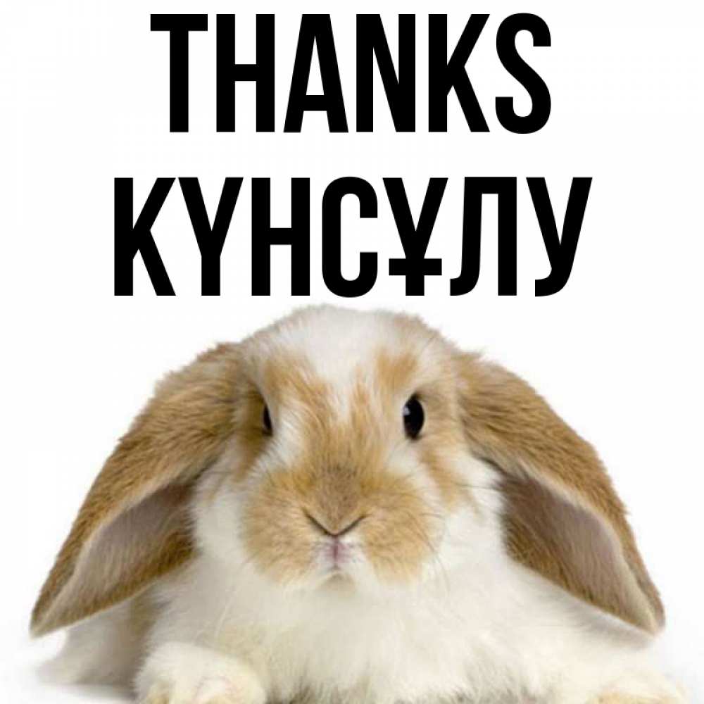 Greetings card с именем, КҮНСҰЛУ Thanks коричнево белый заяц Greetings with text for free download 