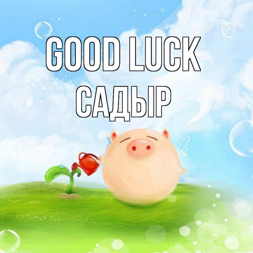 Greetings card с именем, САДЫР Good luck поросенок поливает цветок. летнее настроение Greetings with text for free download 