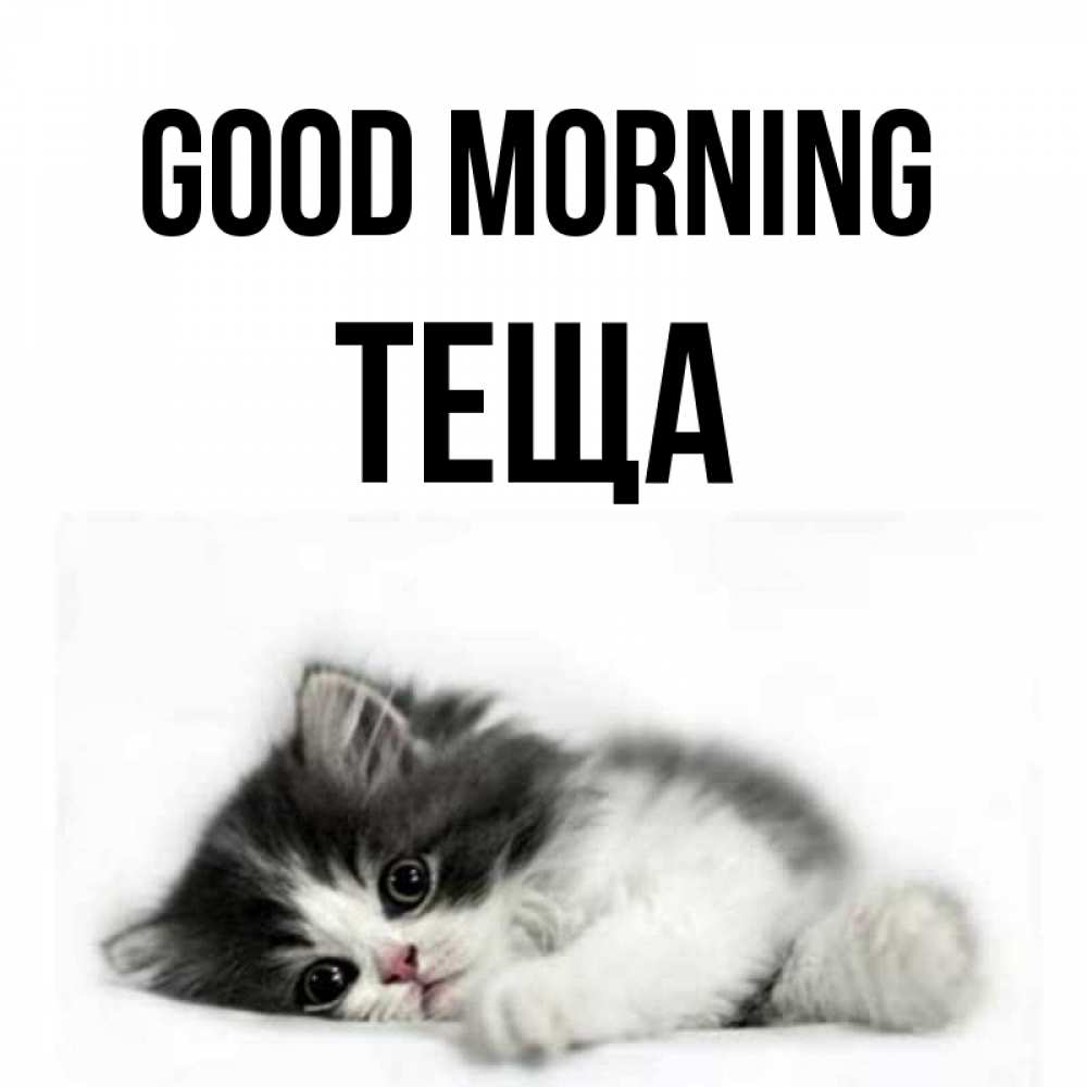 Greetings card с именем, Теща Good morning кот лапки Greetings with text for free download 
