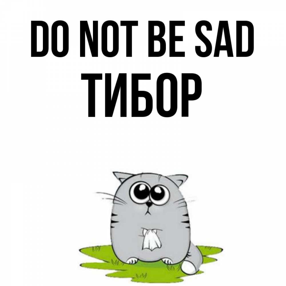 Greetings card с именем, Тибор Do not be sad грустный котяра Greetings with text for free download 