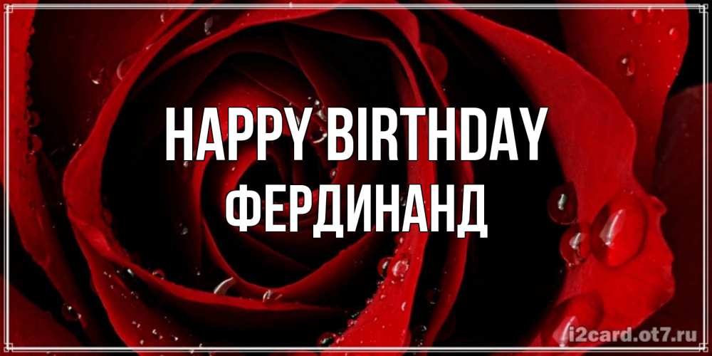 Greetings card с именем, Фердинанд Happy Birthday крупная бордовая роза Greetings with text for free download 