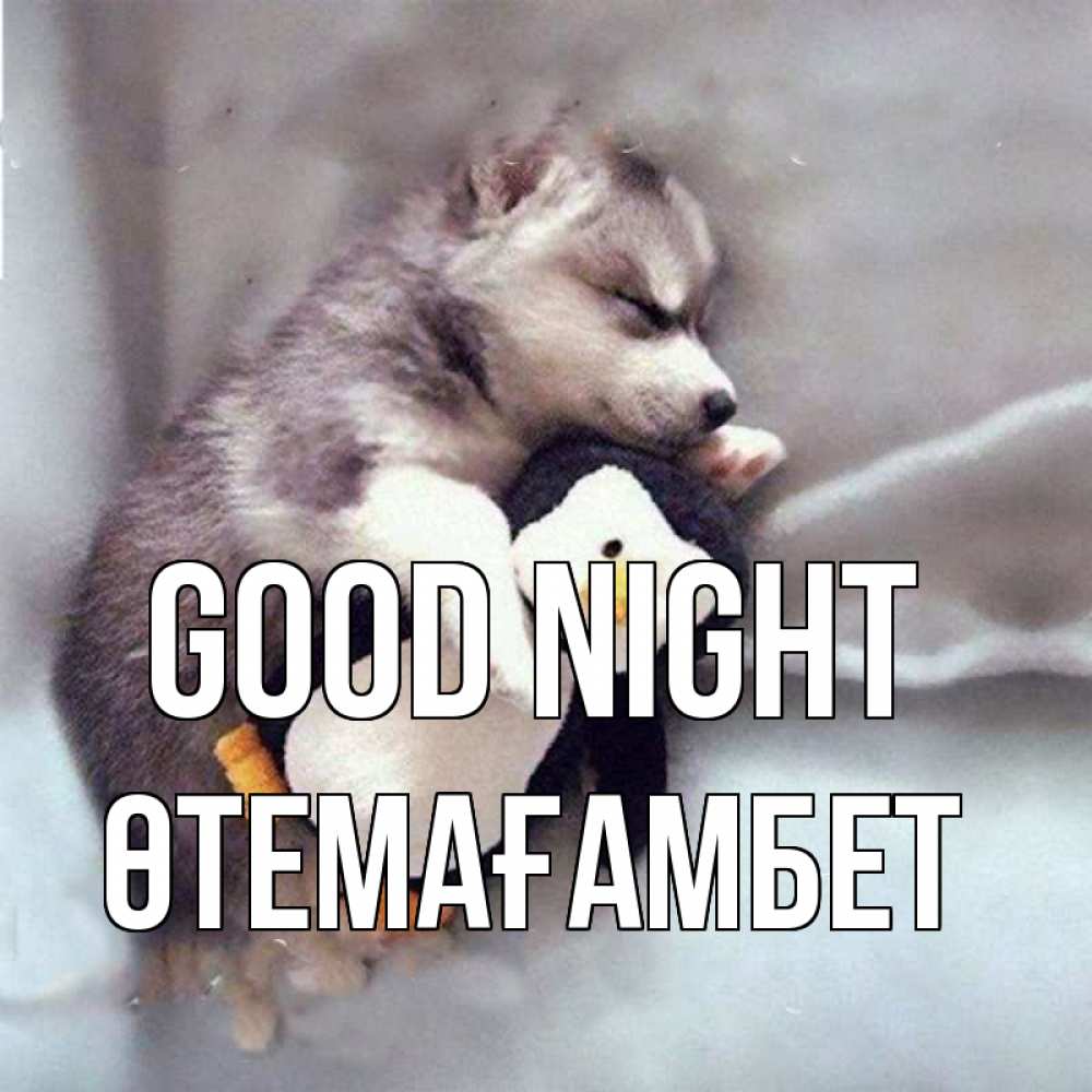 Greetings card с именем, ӨТЕМАҒАМБЕТ Good night обнимашки щенка и пингвина Greetings with text for free download 
