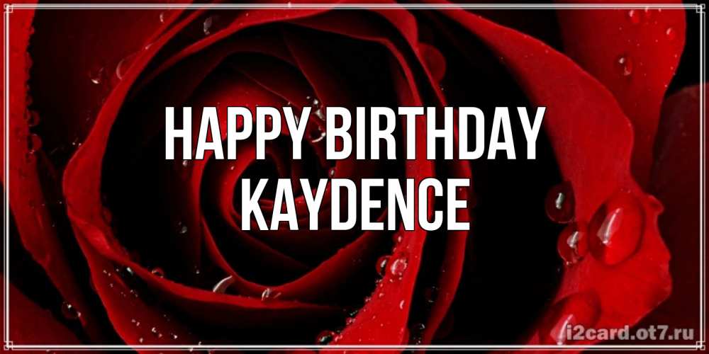 Greetings card с именем, Kaydence Happy Birthday крупная бордовая роза Greetings with text for free download 