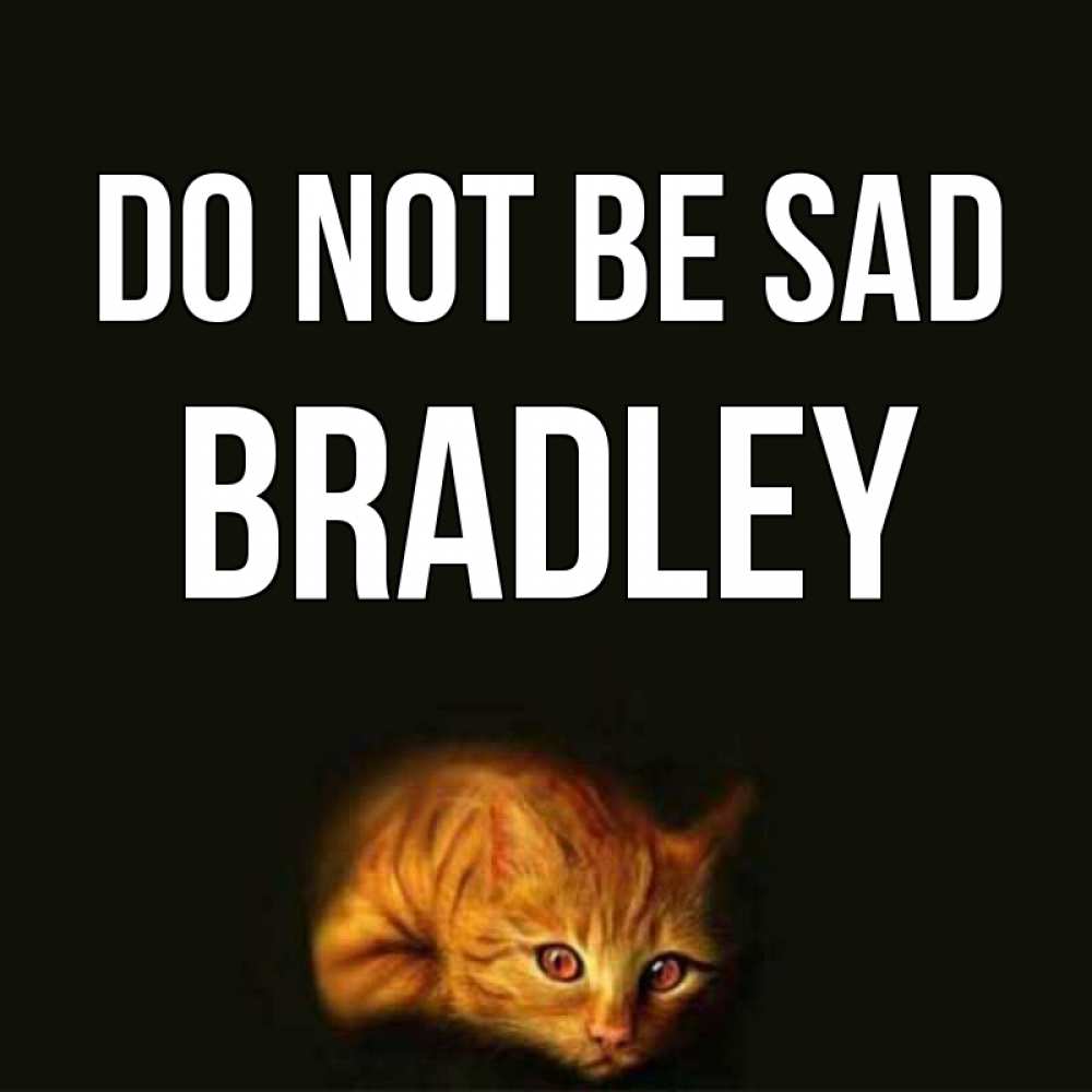 Greetings card с именем, Bradley Do not be sad лежащий кот в темноте Greetings with text for free download 