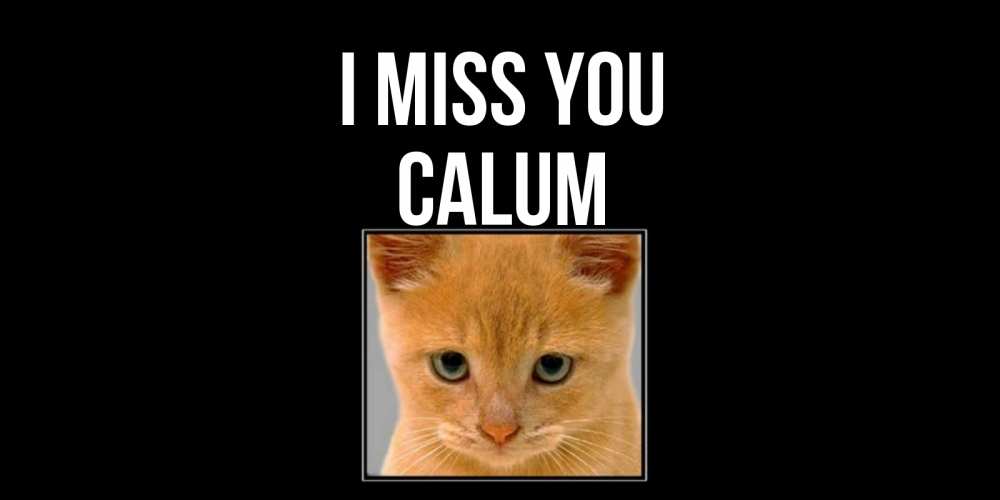 Greetings card с именем, Calum I miss you открытки рыжий котенок скучает по тебе Greetings with text for free download 