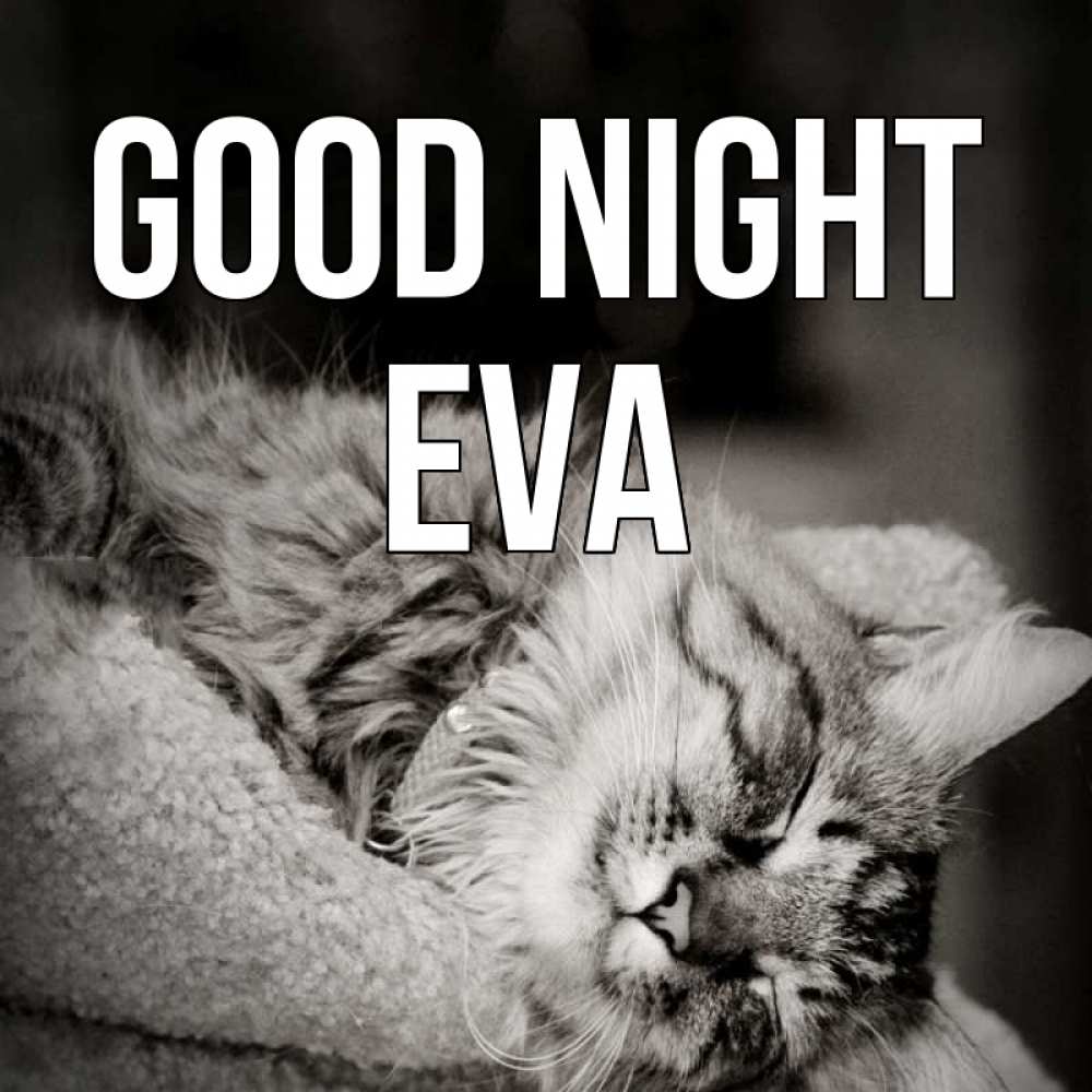 Greetings card с именем, Eva Good night котярик пушистый Greetings with text for free download 