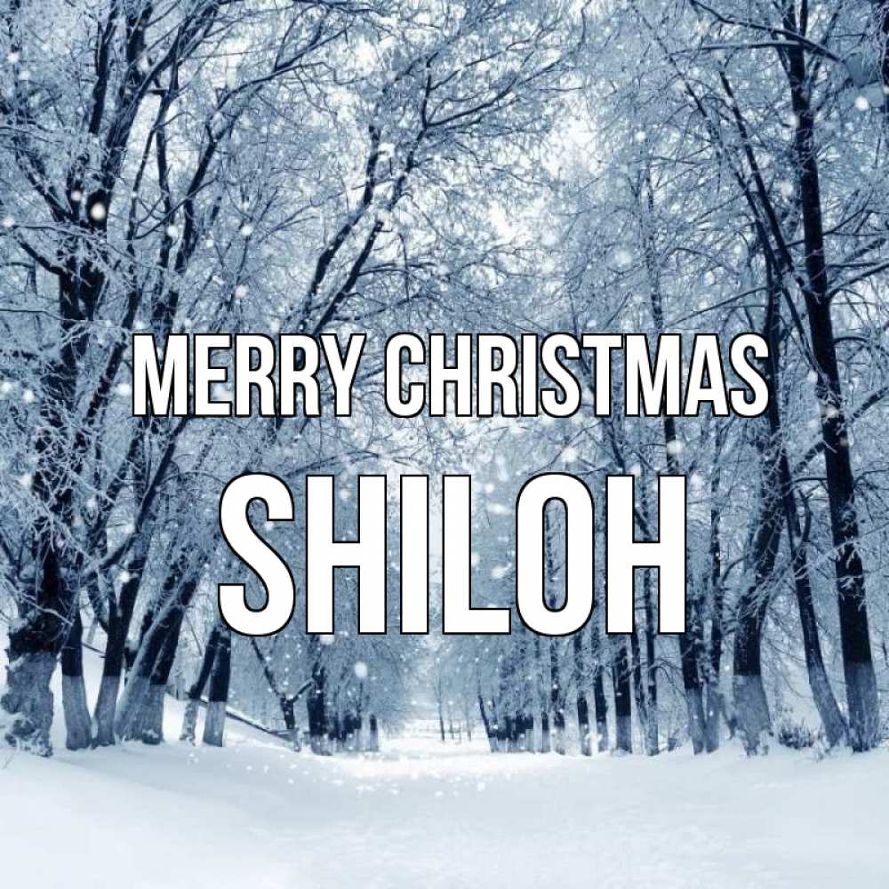 Greetings card с именем, Shiloh Merry Christmas снег, лес, парк Greetings with text for free download 