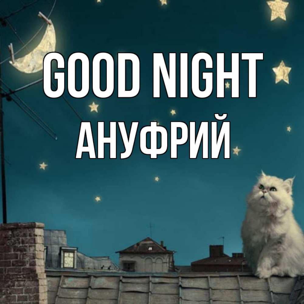 Greetings card с именем, Ануфрий Good night белый кот сидит на крыше Greetings with text for free download 