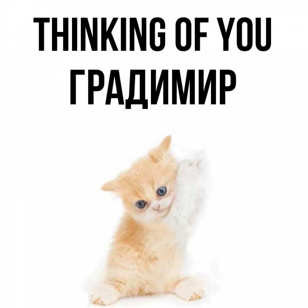 Greetings card с именем, Градимир Thinking of you зверушки и милота Greetings with text for free download 