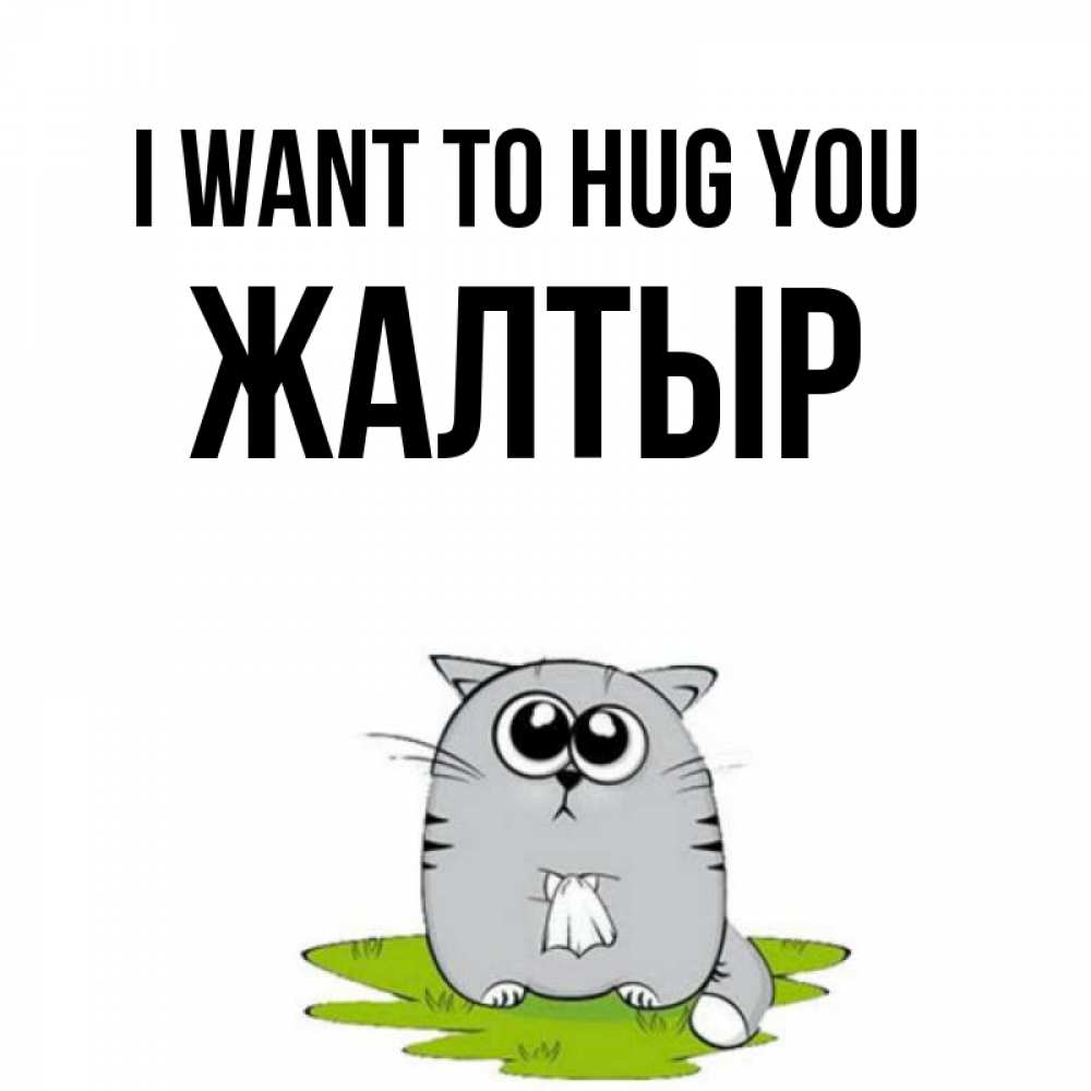 Greetings card с именем, Жалтыр I want to hug you котик теребит платочек сидя на травке Greetings with text for free download 