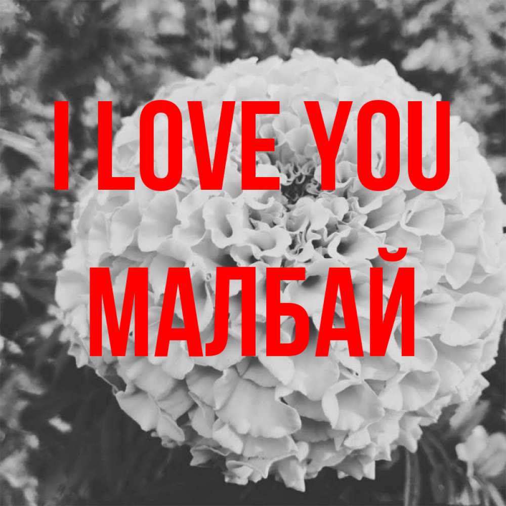 Greetings card с именем, МАЛБАЙ I love you подпись Greetings with text for free download 