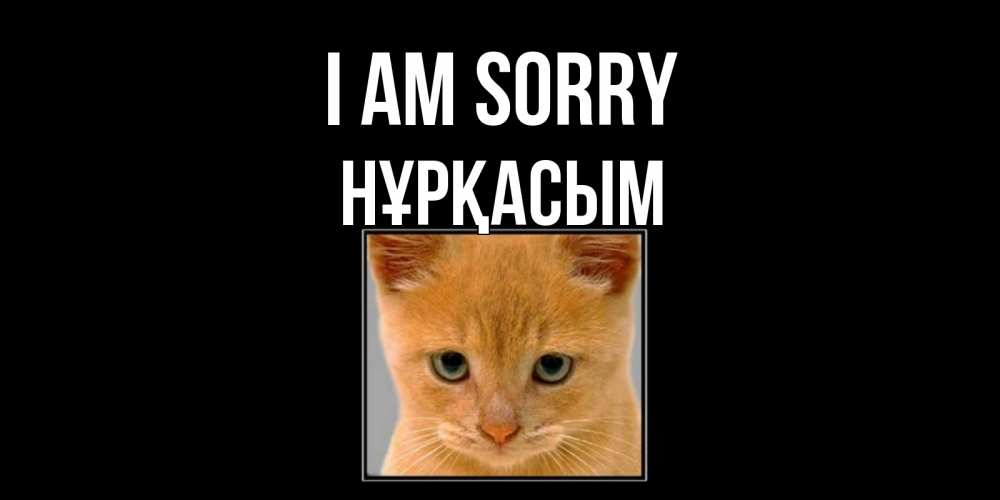 Greetings card с именем, НҰРҚАСЫМ I am sorry рыжий грустный кот просит прощения Greetings with text for free download 