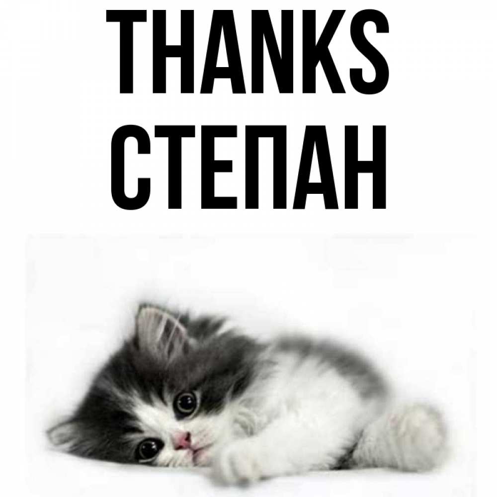 Greetings card с именем, Степан Thanks черный и белый кот Greetings with text for free download 