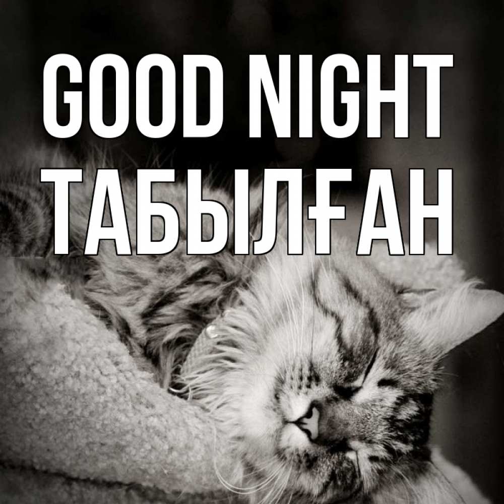 Greetings card с именем, ТАБЫЛҒАН Good night котярик пушистый Greetings with text for free download 
